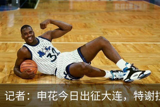 记者：申花今日出征大连，特谢拉、米内罗、李可因伤无法出战